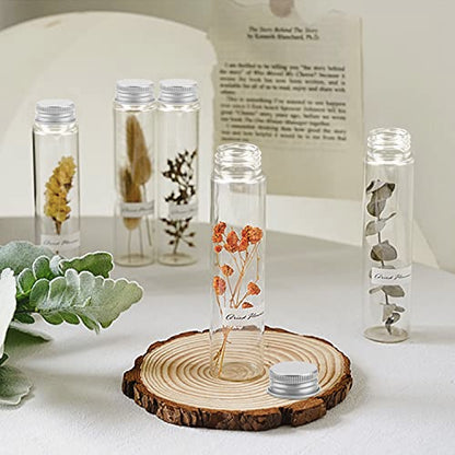 110 ml Clear Test Tube,36 Pack Clear Plastic Test Tubes Candy Tube Transparent Test Tubes with Cap,Flat Bottomed Plastic Tubes Bath Salt Container,3.7 OZ (Silver Cap)