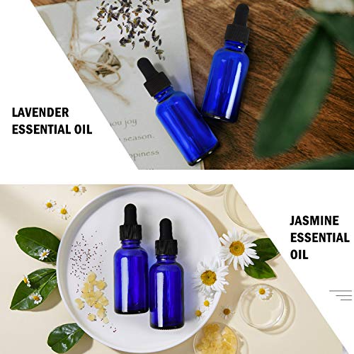 June Fox Glass Dropper Bottle,99 Pack 1oz Blue Glass Bottles with Droppers and Black cap for Essential Oils, Lab Chemicals, Perfumes - color: Blue