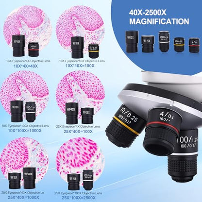 Microscope for Adults & Kids, 40X-2500X High-Power Compound Microscope for Students, School Lab & Home Schooling,Equiped with Slides Set & Phone Holder (White) - color: white