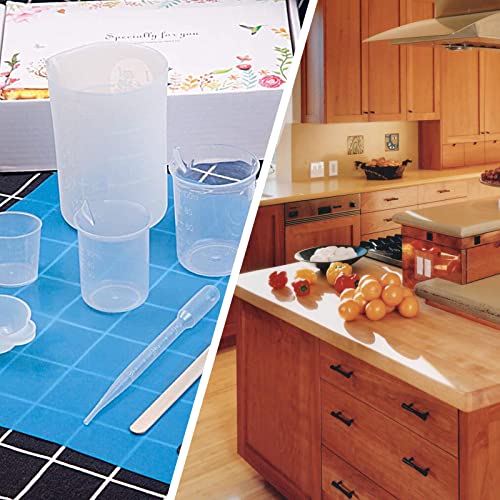 Waziaqoc 250ml-300ml Plastic Graduated Beaker, Transparent, 1 Pack - color: 1pc, size: 250-300 ml