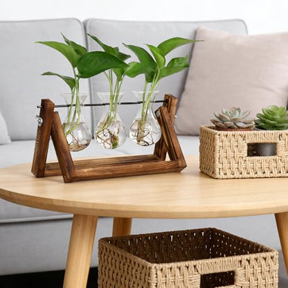 YIBOT Propagation Stations,Plant Terrarium with Wooden Stand-3 Glass Vases - size: 3Vase-B