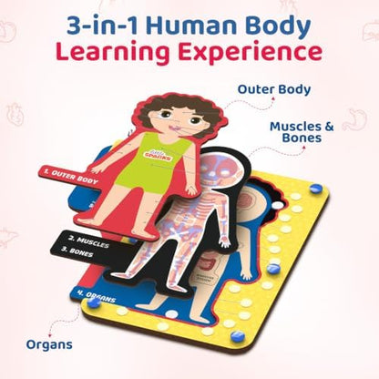 Smartivity Human Body Anatomy Puzzle for Kids 4-7 Years