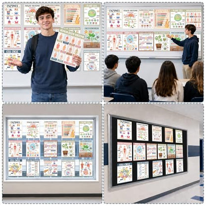 Yakydesign 16PCS Boho Life Science Posters High School Classroom Decorations Biology Poster Charts Classroom Supplies Biology Education Bulletin Board for Teachers School Office Wall Door Decor