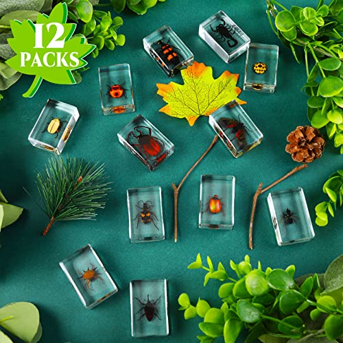 12 Pcs Insect Specimens for Kids Resin Bug Collection Kit, Ladybug - style: Ladybug
