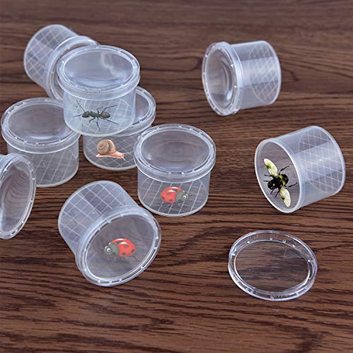 Coopay 20 Pcs Bug Jars Critter Insect Cage Magnifying Insect Box Bug Magnifier Container Catcher Cage, Science Nature Exploration Tools - style: 20 Pack
