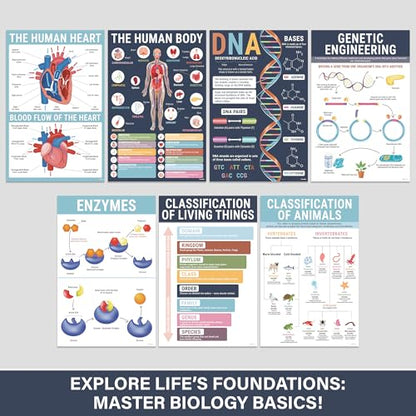 BrightenKidz Biology Posters for Classroom, 15 Pack 11x17 Science Charts - color: Biology Posters