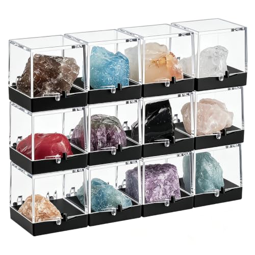 Cabilock 48 Pcs Mineral Specimen Rock Display Case Storage Boxes with Lids 5.51X1.37X1.37In Clear Display Cases for Rock Crystal Collection Organizing and Science Education - color: Black,Transparent x4pcs, size: 3.5X3.5CMx4pcs