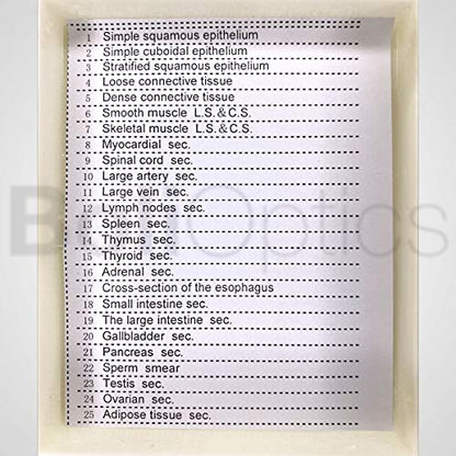 BoliOptics 25 Prepared Microscope Slides Human Biology Specimen Set Human Anatomy Organ Tissue Cells for Students Hobbyists Beginners Kids Homeschool Medical School, SL39901005