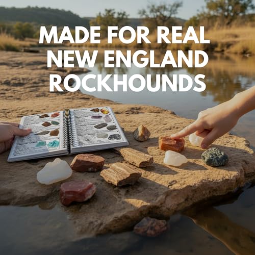 New England Rocks And Minerals Identification Field Guide | Waterproof