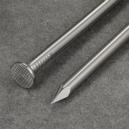 Wensilon (258 pcs)1-1/4 inch Stainless Steel 304 Nails, Hanging Nails, Wall Nails, Dowels, Long Nails - color: Ss, size: 1-1/4