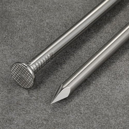 Wensilon (55 pcs)2-1/2 inch Stainless Steel 304 Nails, Hanging Nails, Wall Nails, Dowels, Long Nails - color: Ss, size: 2-1/2
