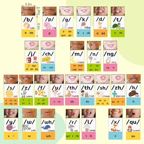 Ireer Bright Consonants Sound Wall for Classroom with Mouth Image - color: Bright, style: Consonants