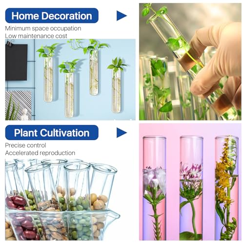 6 Pcs 100ml Large Glass Test Tube,3.3 Borosilicate Clear Big Glass Test Tube Vase for Scientific Experiment,30mm ODx200mm Length Round Bottom Test Tubes for Hydroponic Flower Home Office Decor