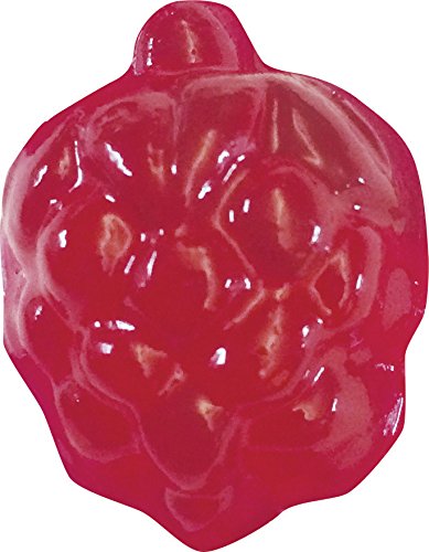 Thames & Kosmos Gummy Candy Lab - Bears, Fruit, Dolphins & Dinosaurs! Sweet Science STEM Experiment Kit, Make Your Own Gummy Candies in Cool Shapes & Colors | Learn Chemistry | New & Improved Formula