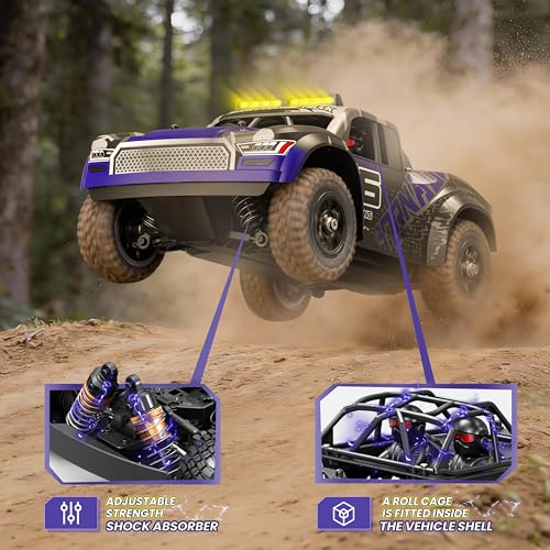 X-TMAGA 1:16 All Terrain RC Cars, 4WD Off-Road Remote Control Car (HS16-83) - color: Purple