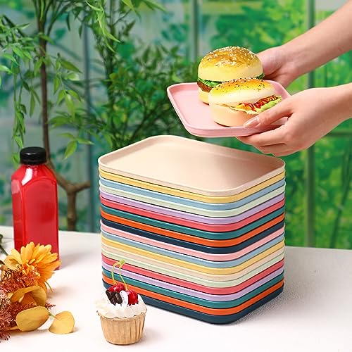 Dandat 20 Pack Small Cafeteria Trays 9.8 x 6.7 Inch Lunch Trays Colorful