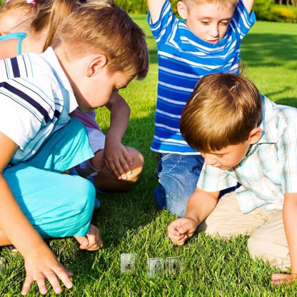 CroBlissful 6 Pcs Insect in Resin Specimen Bugs for Kids