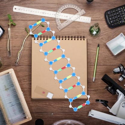 Mobestech DNA Model Double Helix Science Classroom Decor Plastic Molecular Modeling Kit for Genetics and Mutation Learning Detachable DNA Model Kit for Students Biology Teaching