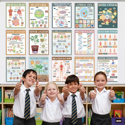 Yiaoyinnz 16Pcs Modern Boho Biology Science Posters for Classroom - color: Modern