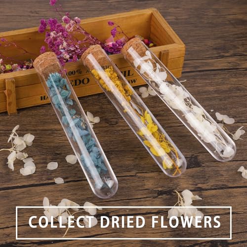 20Pcs Clear Plastic Test Tubes,25x160mm 50ml, Good Seal for Jewelry Seed Beads Powder Spice Liquid Storage, Lab Use or Decoration - size: 20pcs*50ml(25x160mm)