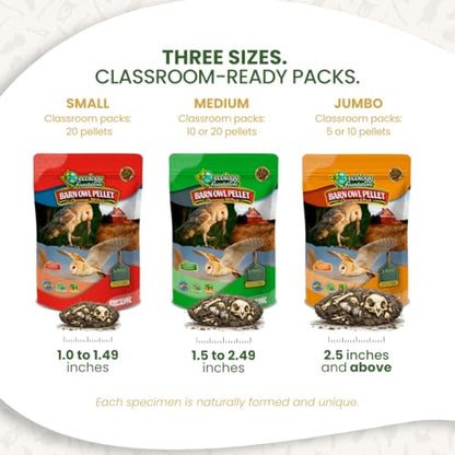 Barn Owl Pellets for Dissection for Classrooms, Medium 10-Pack Kit by OBDK - size: Medium (1.5 to 2.5 inches)