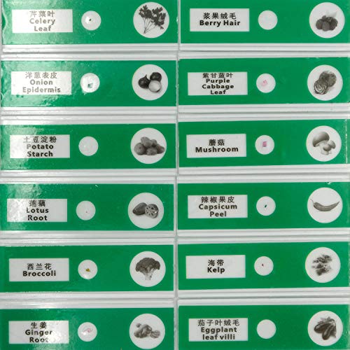 48pcs Prepared Plastic Microscope Slides Biological Specimen with 4 Boxes for Student Enlighten Education