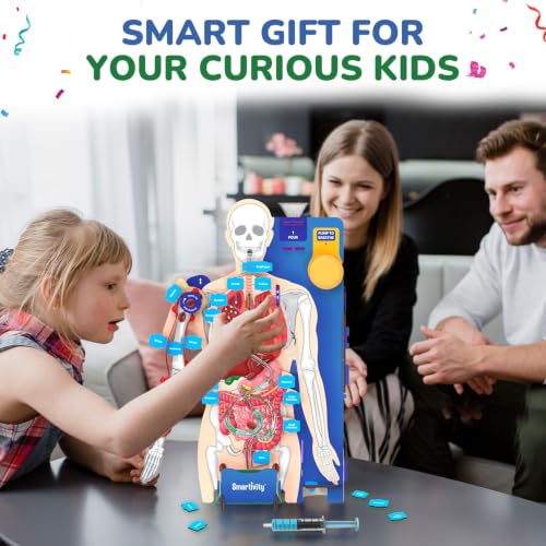 Smartivity DIY Interactive Human Body Model for Kids 8-14 Years