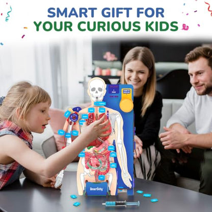 Smartivity DIY Interactive Human Body Model for Kids 8-14 Years