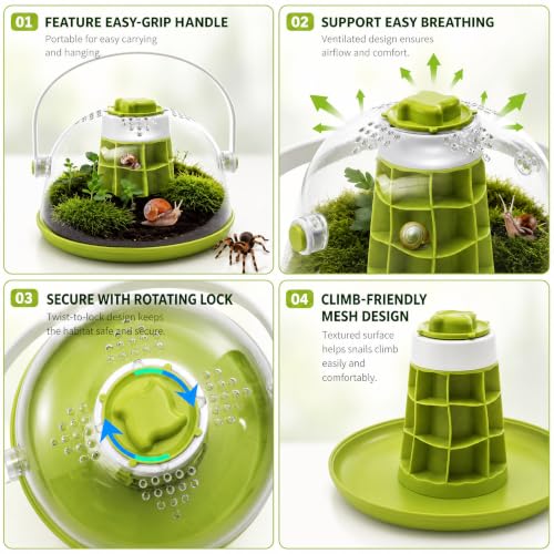 Snail Terrariums Breeding Box, Plastic Round Snail Habitat, Clear Feeding Box with Air Vents & Removable Base, Small Insect Feeding Bin for Beetles Spiders Ladybugs, Starter Terrarium Kit