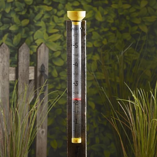 Taylor Jumbo Rain Gauge 5 Inch Capacity with Red Floating Indicator