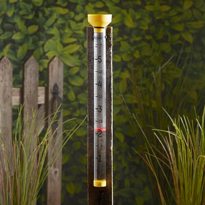 Taylor Jumbo Rain Gauge 5 Inch Capacity with Red Floating Indicator