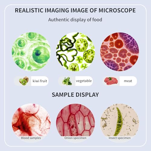 40-2000X HD Optical Microscope for Students, Dual LED Lights, with Specimen Slides (Basic Version+Wireless Eyepiece) - color: Basic Version+Wireless Eyepiece