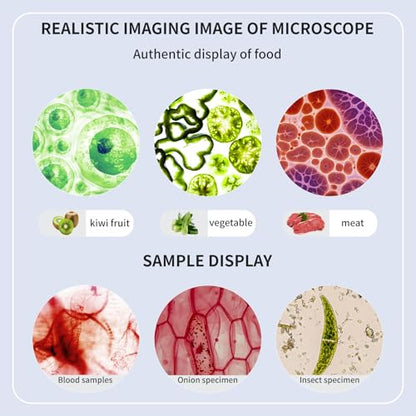 40-2000X HD Optical Microscope for Students, Dual LED Lights, with Specimen Slides (Basic Version+Wireless Eyepiece) - color: Basic Version+Wireless Eyepiece