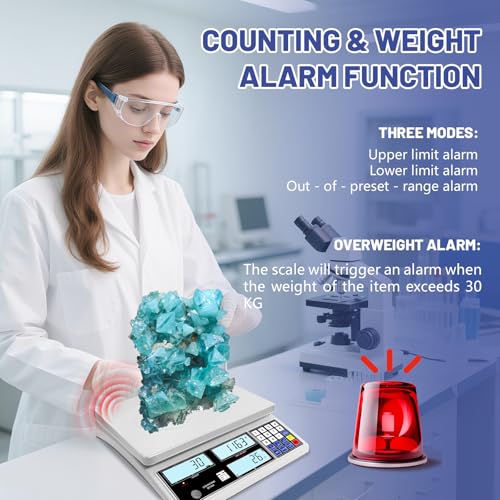 Industrial Counting Scale for Small Part (30kg, 66lb,1g), g/kg/lb,Coin Scale Built-in Battery,Digital Inventory Scale with Alarm Mode, RS-232 Interface for Printer Connectivity