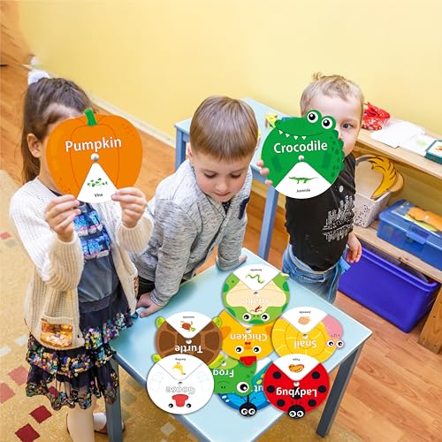 30 PCS Life Cycle Spinners, 20 Animals & 10 Plants Montessori Learning Toy for Kids, Educational Spinning Game Nature & Science Learning Activities for Toddlers