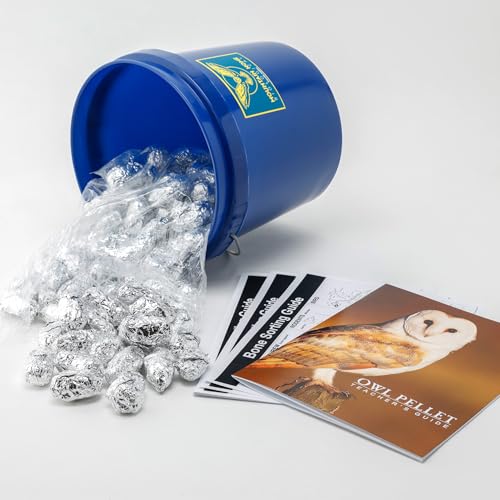 Bargain Bucket, 100 Small Owl Pellets with Teachers Guide and Bone Sorting Sheets