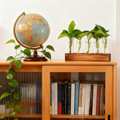 Renmxj Plant Propagation Station, Plant Terrarium with Wooden Stand - size: 5 Test Tube