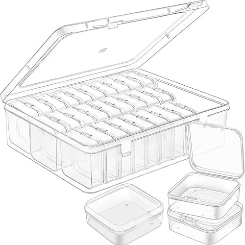 Clear Plastic Storage Organizer Box with 30 Small Containers for Jewelry, Beads, Diamonds, Bracelets, Screws, Seeds, Small Parts