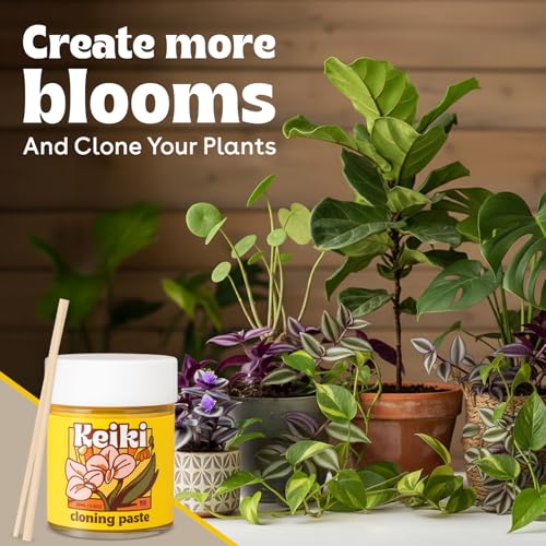 Berkland Keiki Cloning Paste for Orchids & Houseplants, 0.5 oz - 2X Size