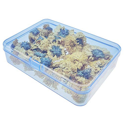 LJY 12 Blue Rectangular Plastic Boxes, 4.5 x 3.3 x 1.1 in for Craft Kits - color: Blue, size: 4.5 x 3.3 x 1.1 inch