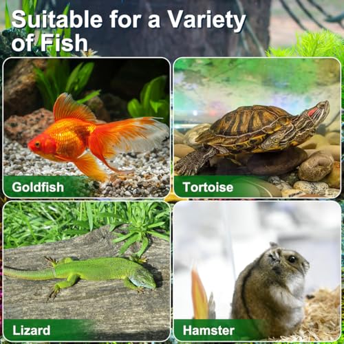 UPKOCH 4-Pack Critter Keeper Small Fish Tank, Portable Plastic Reptile Terrarium Bug Cage with Lid, Mini Travel Transport Container for Turtle Tarantula Hermit Crab