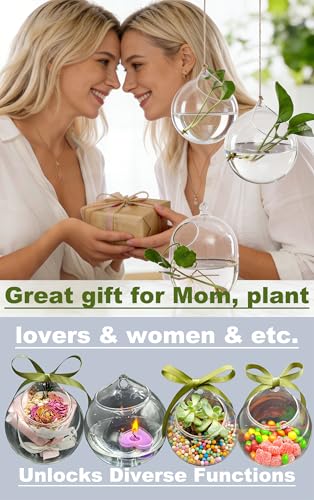 3 Pack Hanging Propagation Stations with Care Tool Kit (Squeeze Bottle & Tweezers Included), Glass Wall Planters for Indoor Plants, Hydroponic Terrarium Vases, Plant Lover Gifts for Women, Home Decor
