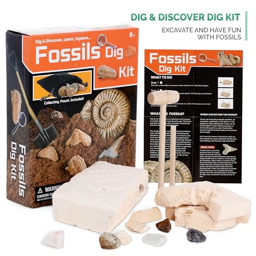 AmScope M30-ABS-KT2-KVB2 Black Metal Arm Starter - style: C) Kit + Fossil Dig Kit