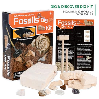 AmScope M30-ABS-KT2-KVB2 Black Metal Arm Starter - style: C) Kit + Fossil Dig Kit