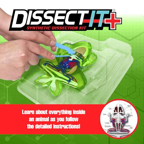 Dissect-It, Deluxe Frog Dissection Kit, STEM Toys for Kids, Ages 6+