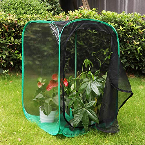 RESTCLOUD 36" Large Monarch Butterfly Habitat, Giant Collapsible Insect Mesh Cage Terrarium Pop-up 24 x 24 x 36 Inches - color: Black with Green