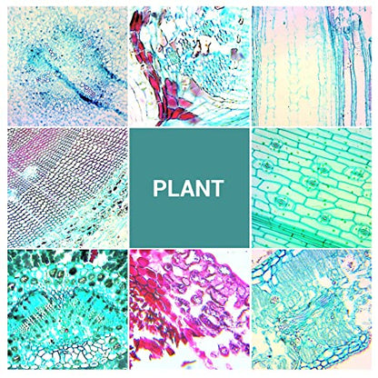 100Pcs Prepared Microscope Slides with Specimens for Kids Science Learning