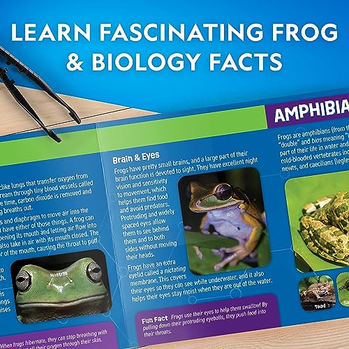 National Geographic Glow in the Dark Frog Dissection Lab for Kids - style: Frog Dissection Kit