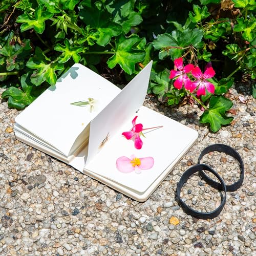 Kikkerland Field Flower Press – Pocket Journal for DIY Pressed & Preserved Flowers – Arts & Crafts Gift for Kids & Adults