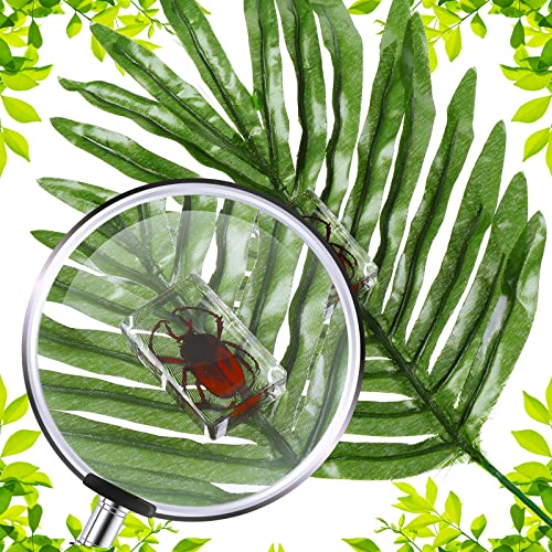 12 Pcs Insect Specimens for Kids Resin Bug Collection Kit, Ladybug - style: Ladybug